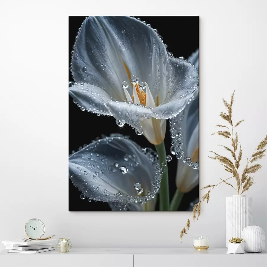 Pilt Läbipaistev lill mustal taustal s44479