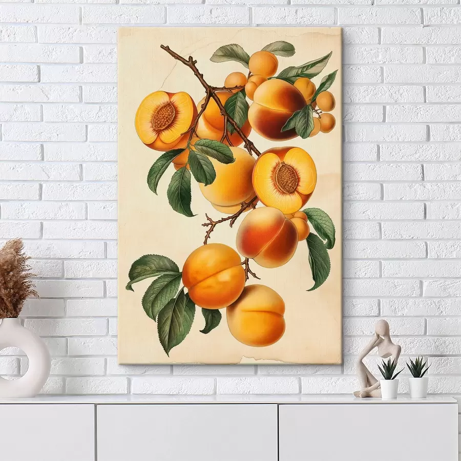 Pilt Aprikoosi haru s44542