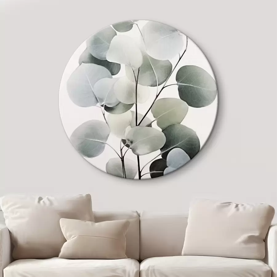 Pilt Eukalüpt r44578