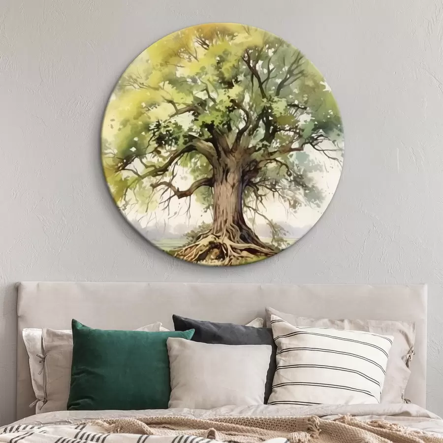 Pilt Vana puu laialivalguvate juurtega r44731