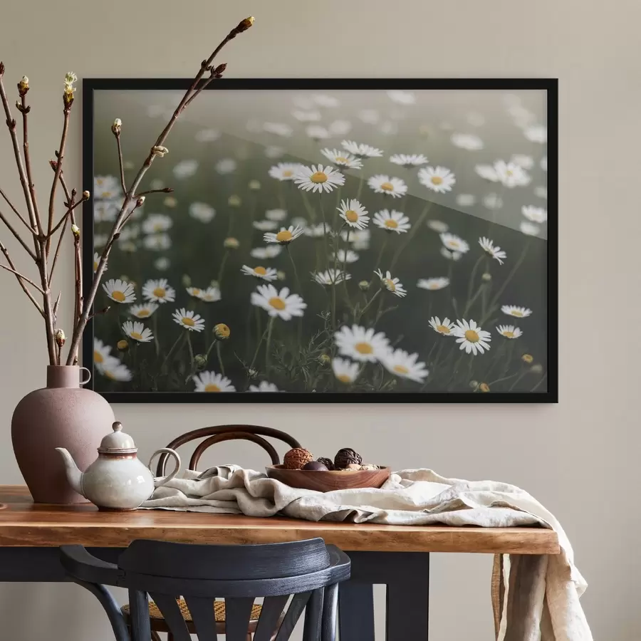 Fototapeedid Daisy väli fookusest väljas rohelise taustaga f44898