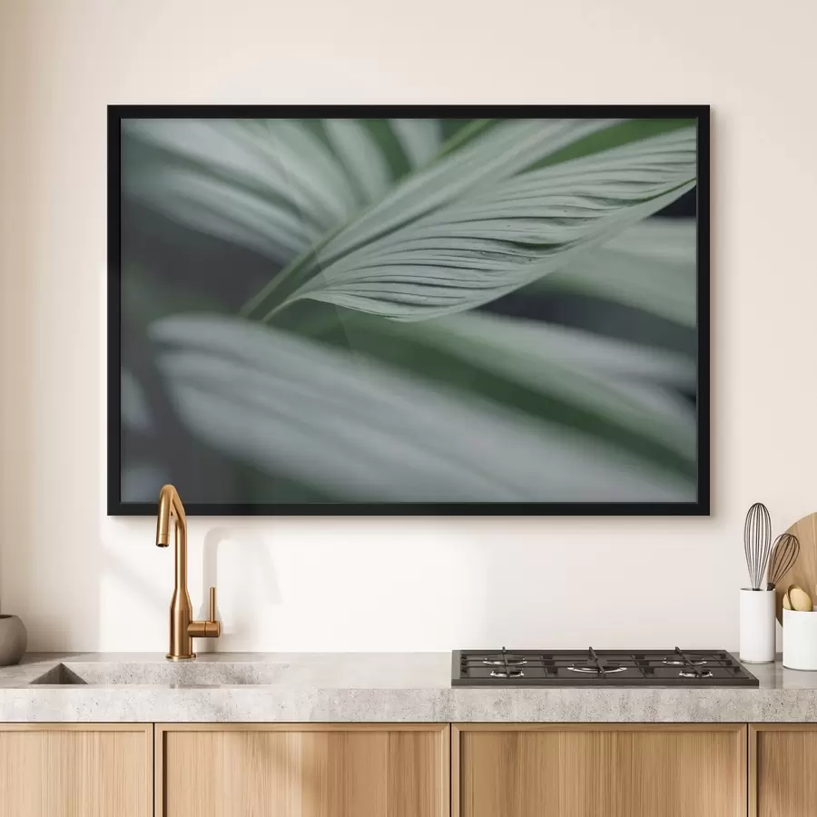 Fototapeedid Troopilised lehed veepiiskadega uduses keskkonnas f44903