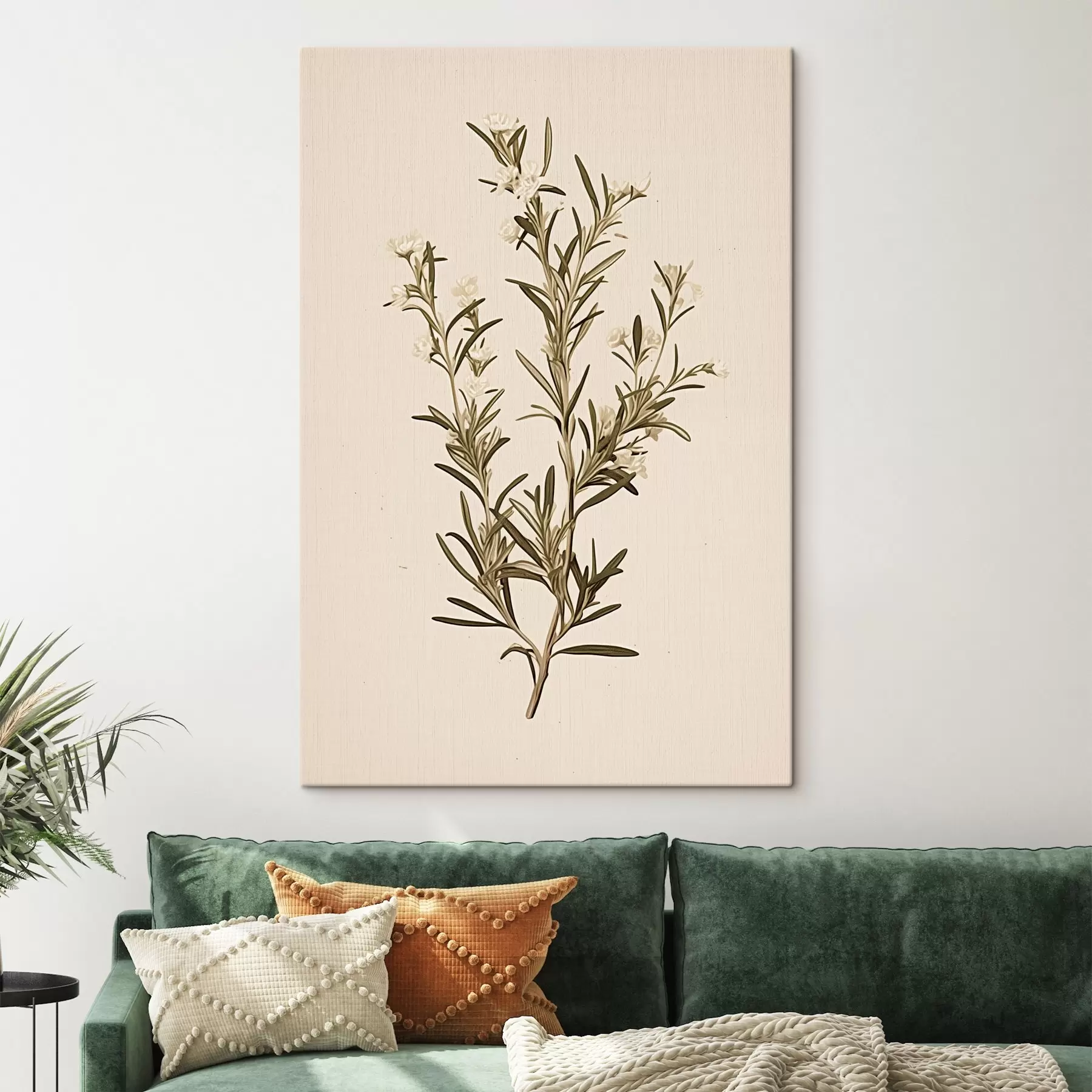 Pilt botaaniline, oksad, beež taust, ravimtaim, minimaalne, taim, rohelised lehed, varrega s45098