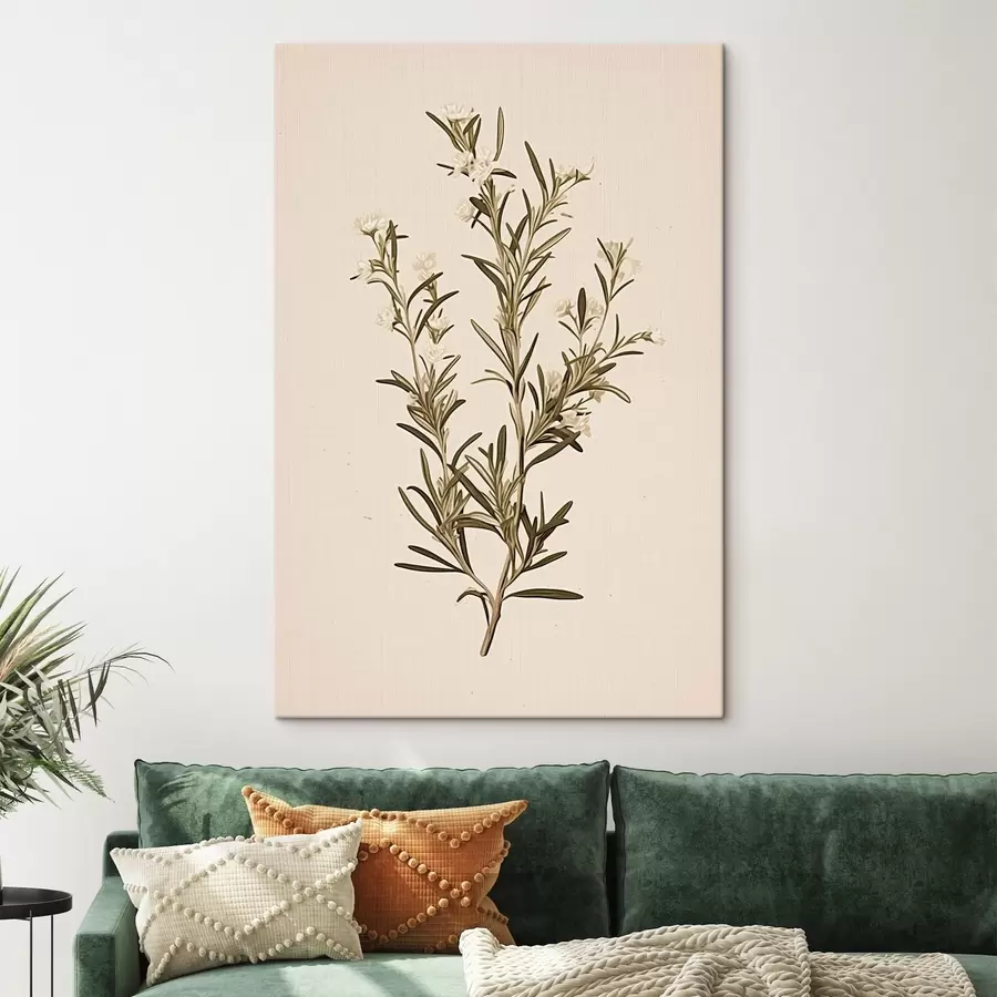 Pilt botaaniline, oksad, beež taust, ravimtaim, minimaalne, taim, rohelised lehed, varrega s45098