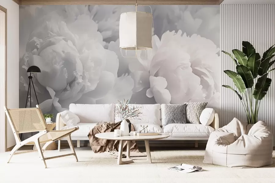 Fototapeedid Pojengid w04336