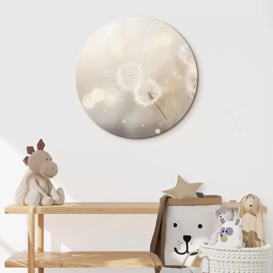 Pilt Õrnad võililled heledas valguses r45519