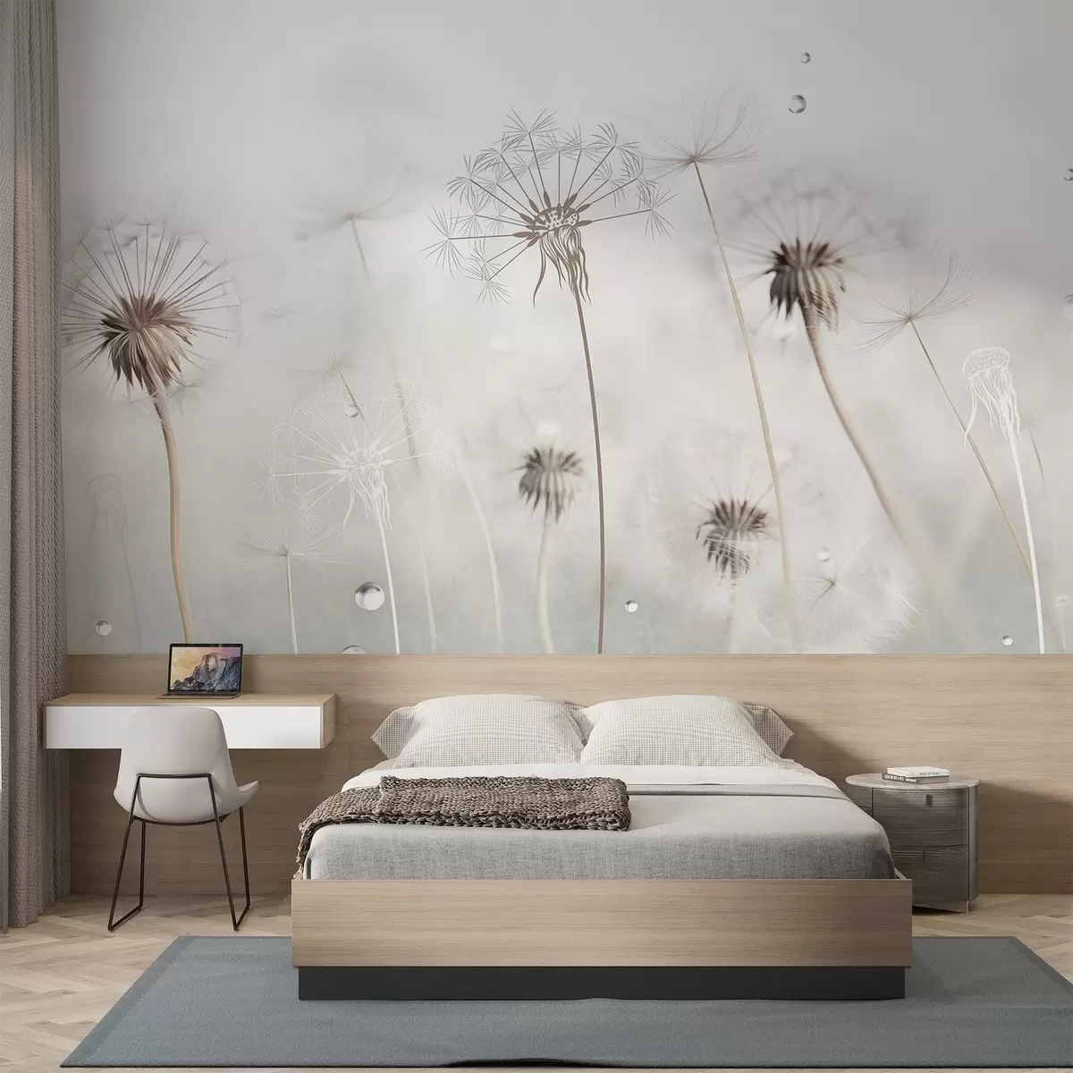 Fototapeedid Vesi tilkadega võililled, valge taust, lähivõte, pehme valgus, loodus, botaanika, õhuline, delikaatne, minimalistlik w09399