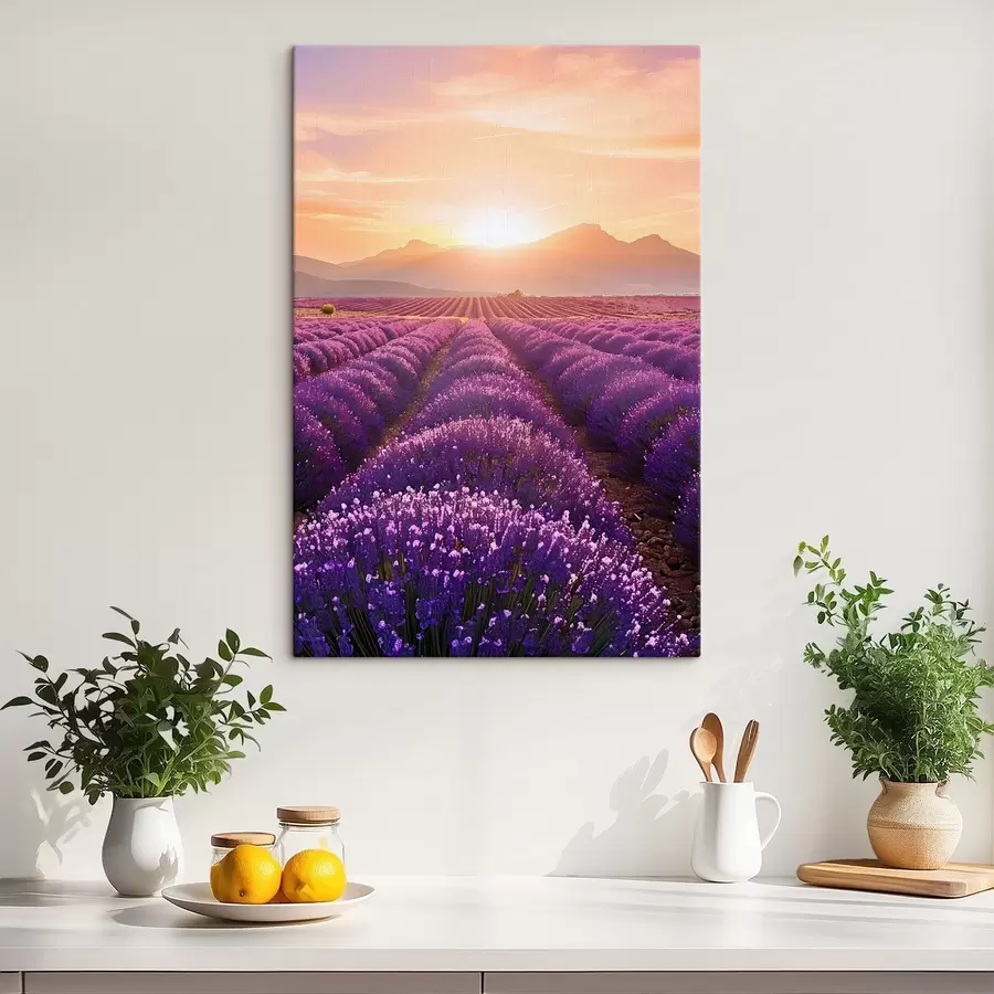 Pilt Päikeseloojang lavendlipõllul s45663