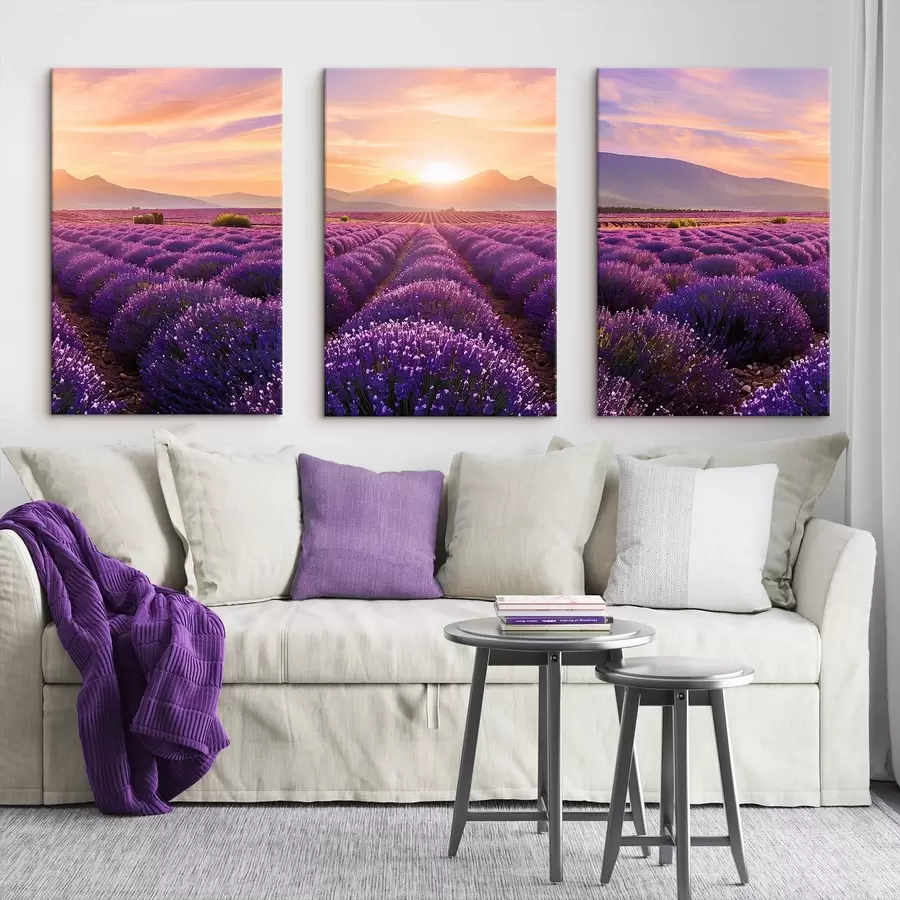 Pilt Päikeseloojang lavendlipõllul m00785