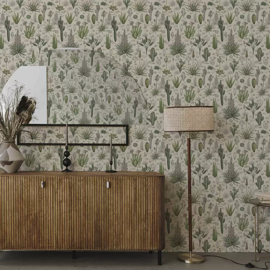 Fototapeedid Kaktused ja sukkulendid soojal taustal, detailne trükk a00666