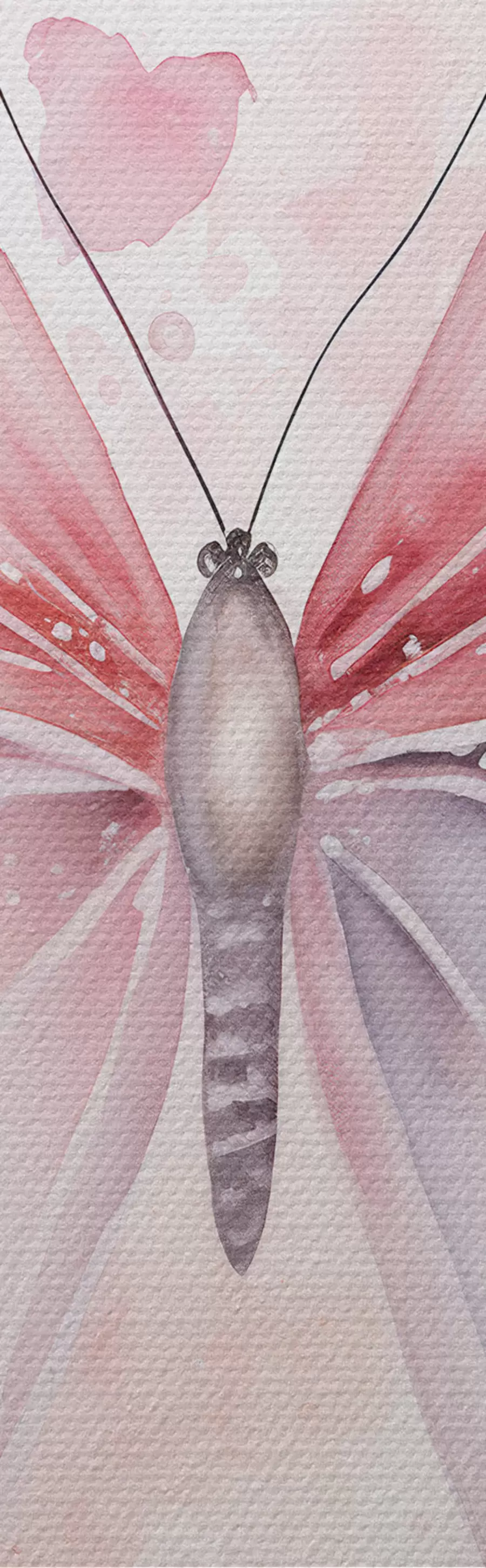 Pilt Erinevad roosad liblikad m00864