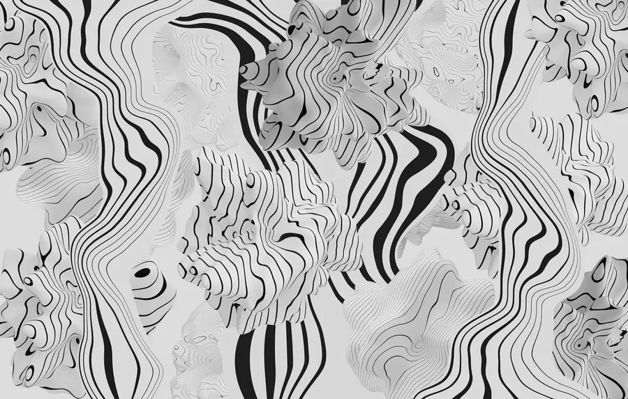 Fototapeedid abstraktsed orgaanilised kujundid 3D-stiilis valgetes ja hallides toonides mustade triipudega w04627