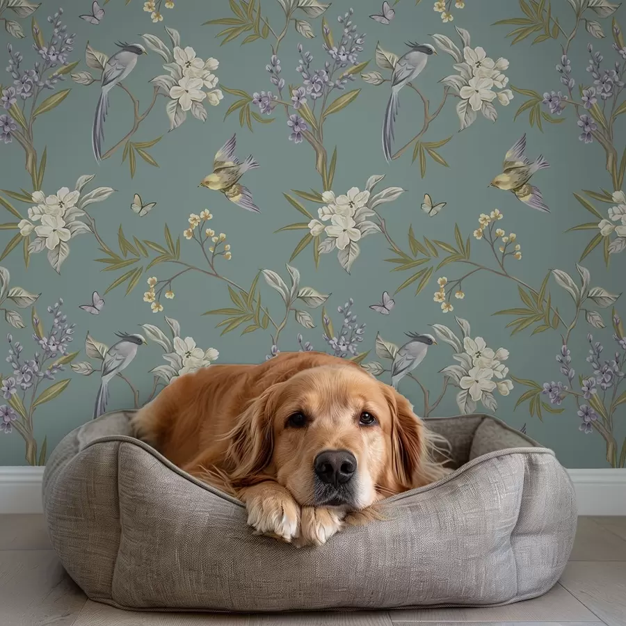 Fototapeedid Linnud, lilled ja liblikad sinakashallil taustal a00735