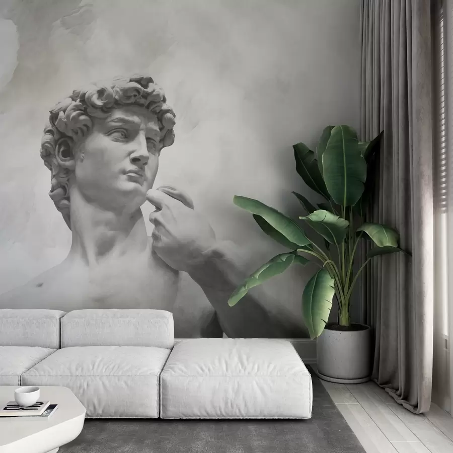 Fototapeedid Renessanssivaim w04767