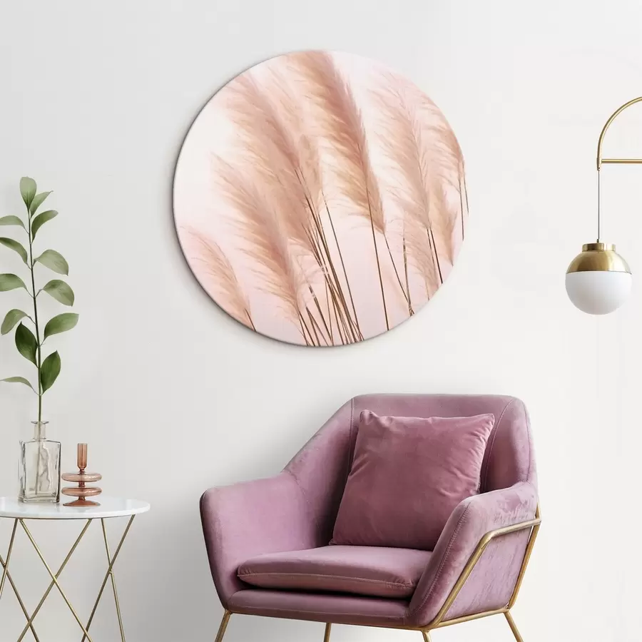 Pilt Hele taustaga kerged rohttaimed kohevate tippudega r46179