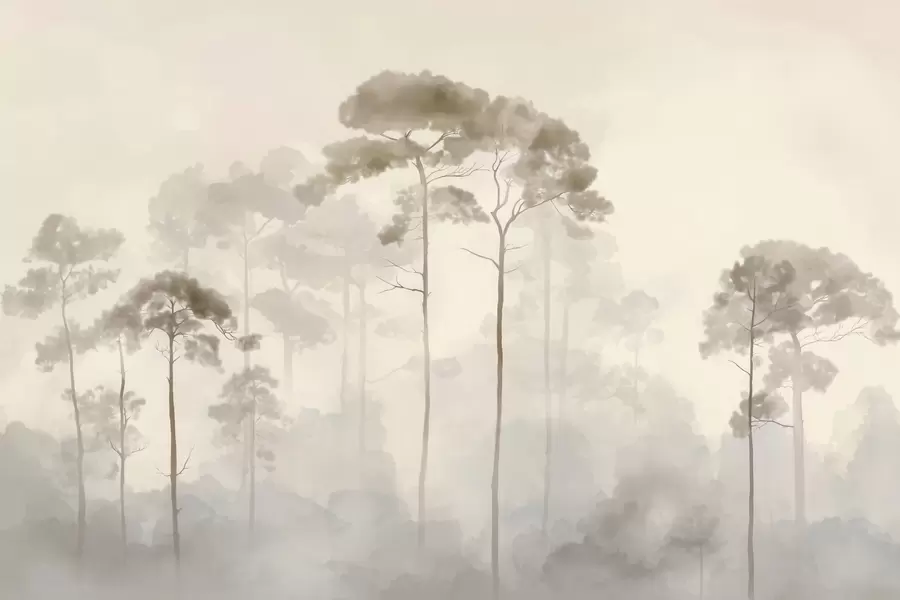 Fototapeedid akvarellstiilis kerged männi siluetid w04634