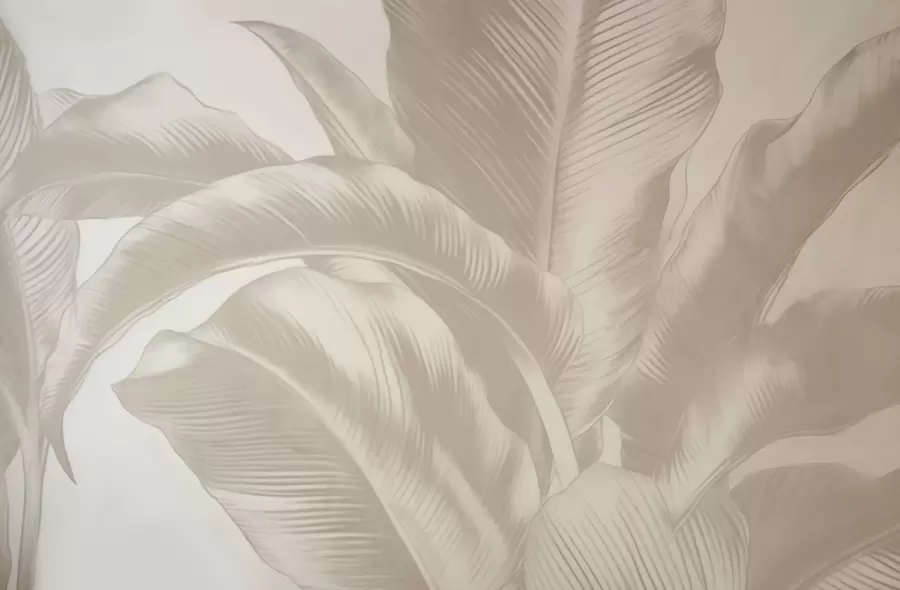 Fototapeedid Pikad lehed, kulunud efektiga banaanilehed w04827