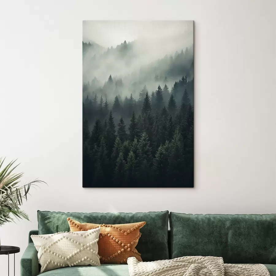 Pilt Udu veereb üle tiheda igihalja metsa s46512