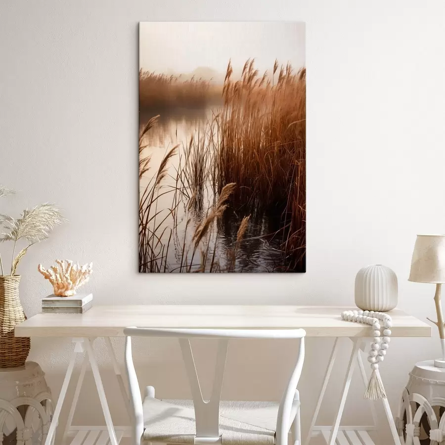 Pilt Veekogus kasvavad kõrged pillirood, vesi peegeldab pilliroogu, udune taust, pehme valgus, loodusvaade s46695