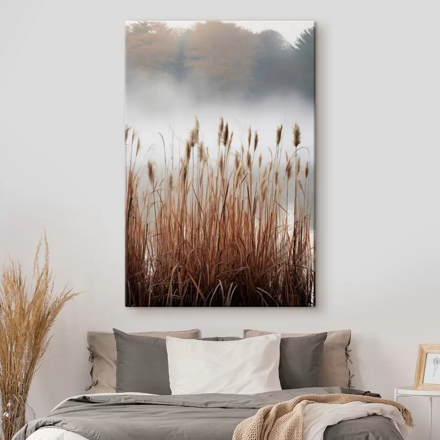 Pilt Veekogus kasvavad kõrged pillirood, vesi peegeldab pilliroogu, udune taust, pehme valgus, loodusvaade s46696