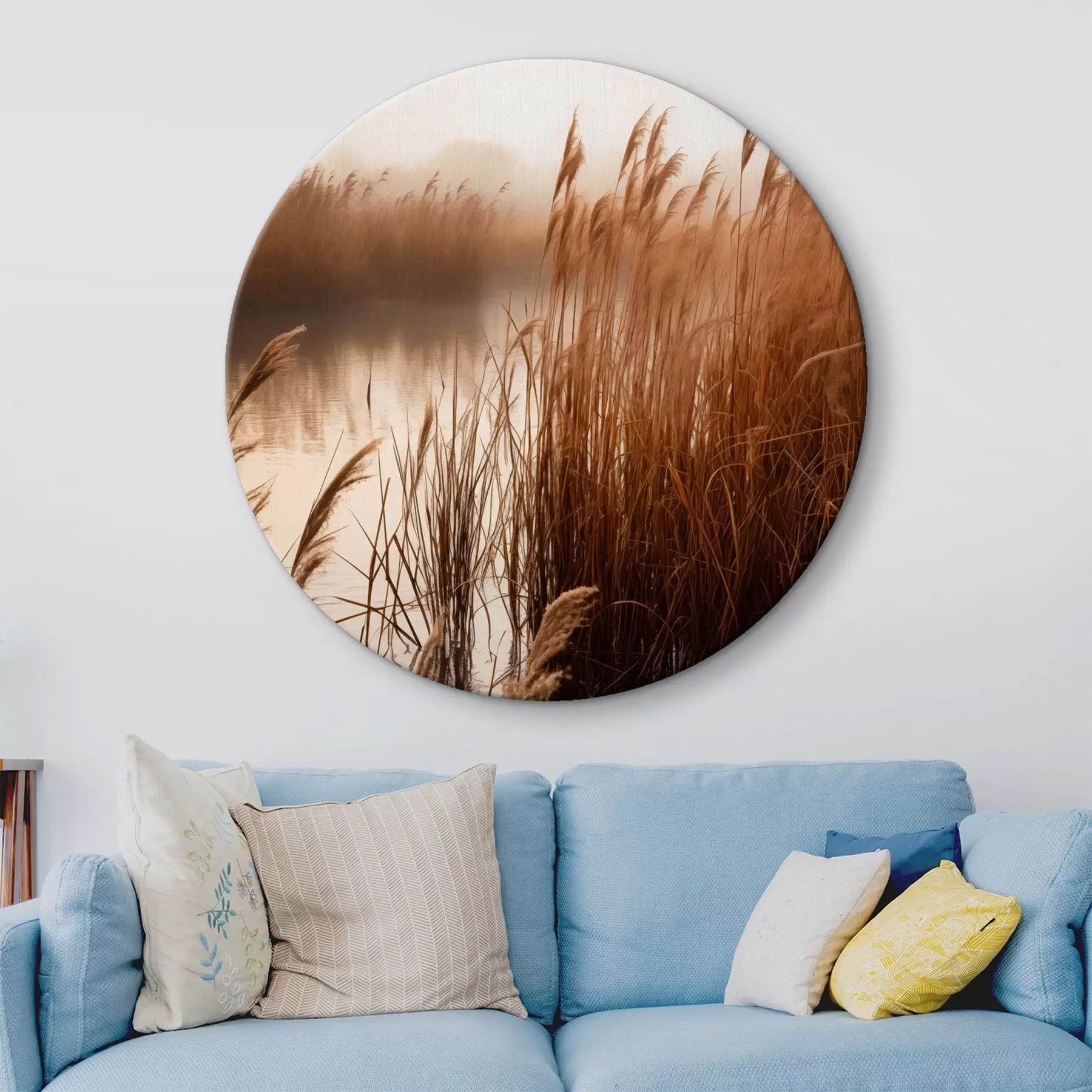 Pilt Veekogus kasvavad kõrged pillirood, vesi peegeldab pilliroogu, udune taust, pehme valgus, loodusvaade r46695