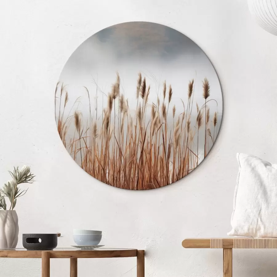 Pilt Veekogus kasvavad kõrged pillirood, vesi peegeldab pilliroogu, udune taust, pehme valgus, loodusvaade r46696