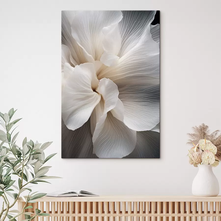 Pilt Lähedalt võetud foto õrnade abstraktsete valgetest õielehtedest, millel on keerulised jooned ja ähmane tume taust. s47018