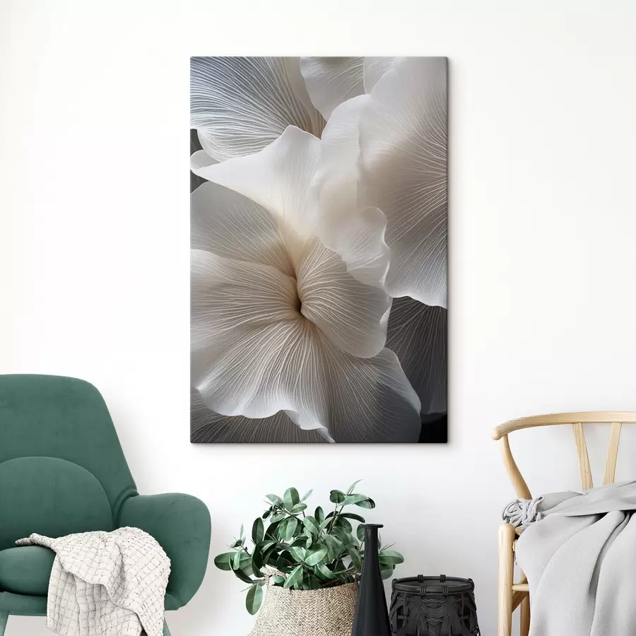 Pilt Lähedalt võetud foto õrnade abstraktsete valgetest õielehtedest, millel on keerulised jooned ja ähmane tume taust. s47019