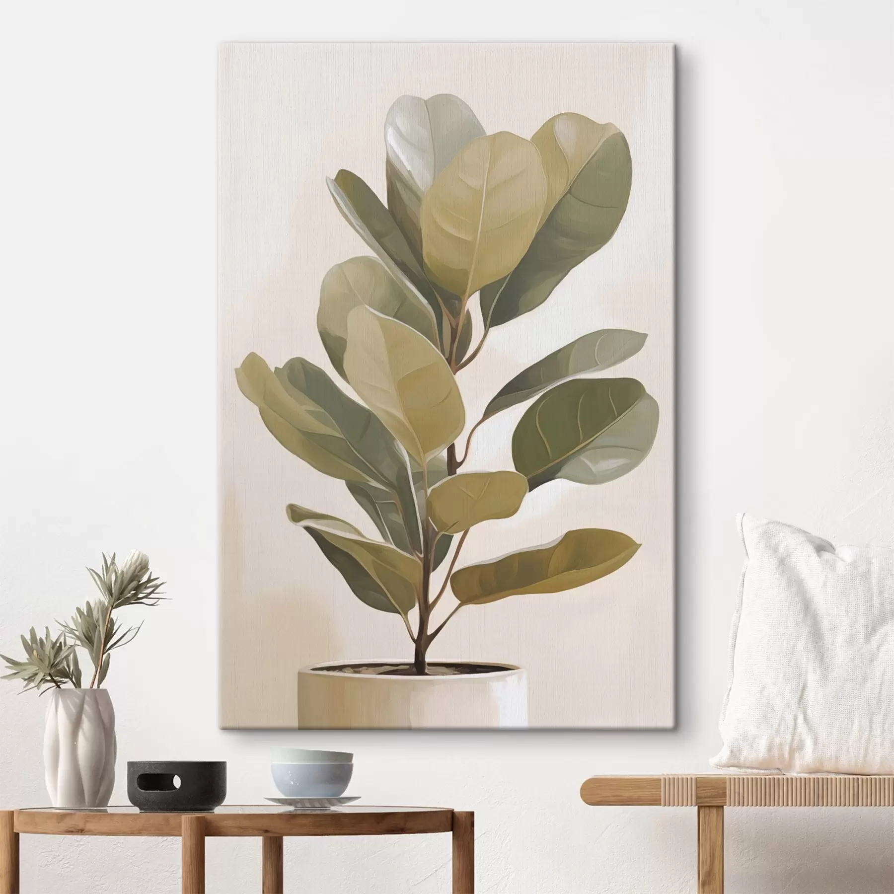 Pilt Ficus  s47153