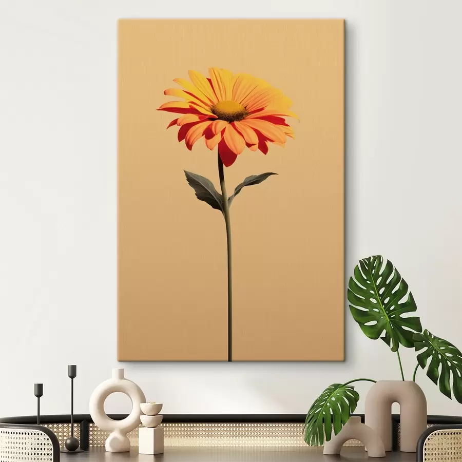 Pilt Gerbera lill minimalistlikus stiilis ühtlasel taustal pehme valguse käes s46928