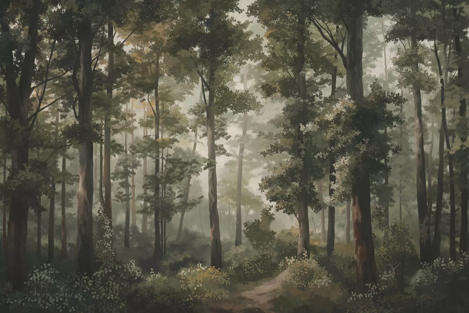 Fototapeedid Metsaillustratsioon uduga, kõrgete puude ja teega w05089