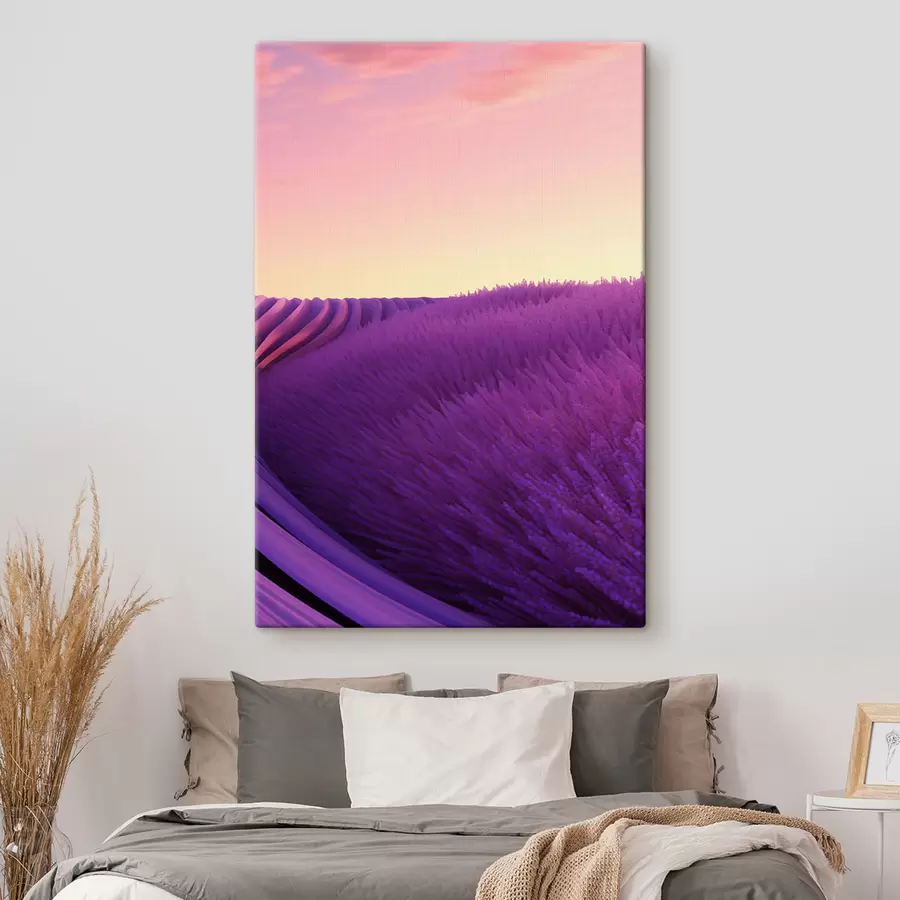 Pilt Lavendlipõld päikeseloojangul s47111