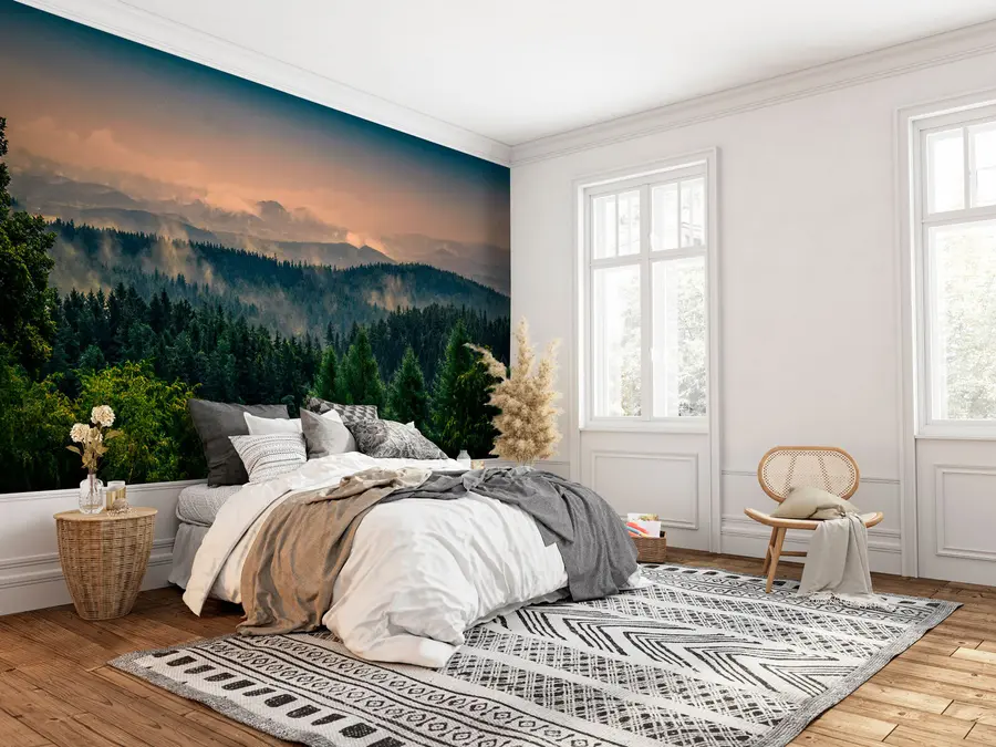 Fototapeedid Puude puud udus u72174