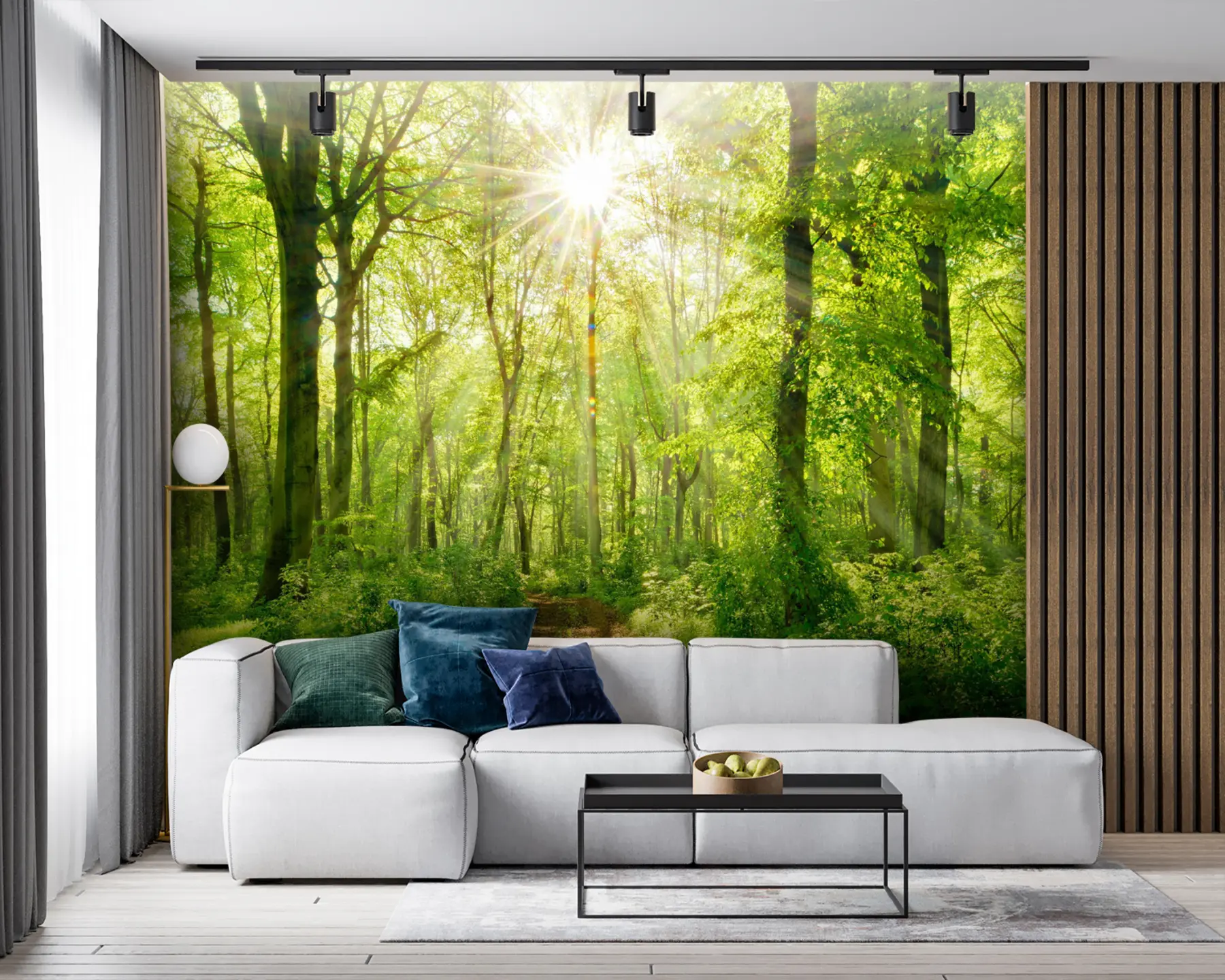 Fototapeedid Rada päikeselises metsas u22252