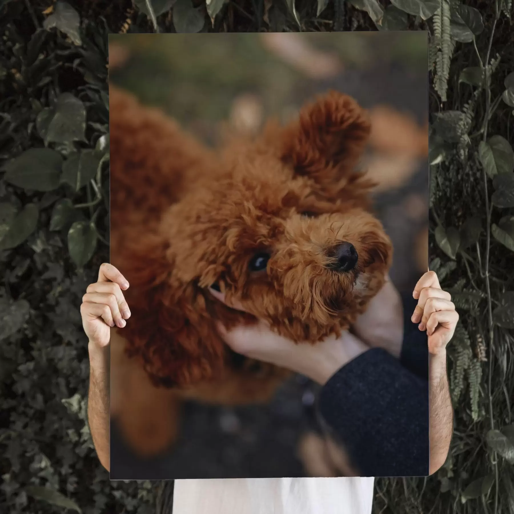 Pilt Teie koer valmistatakse tellimusel teie foto järgi s47163