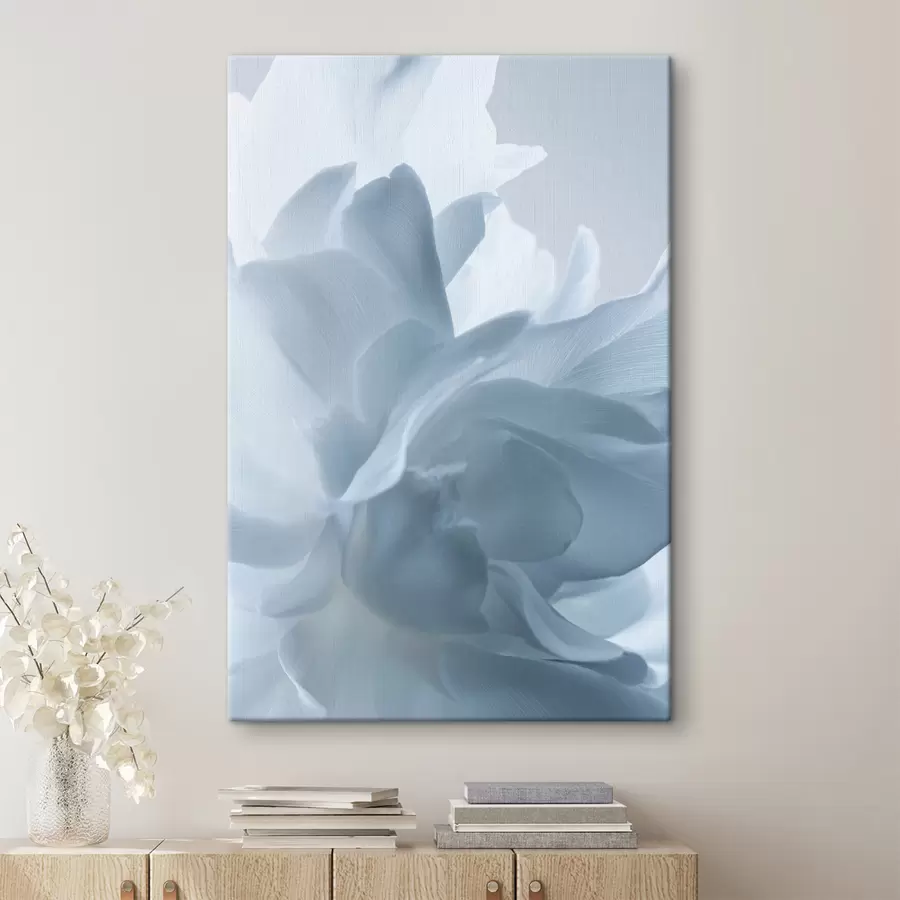 Pilt õrnad sinise tooniga õielehed s47691