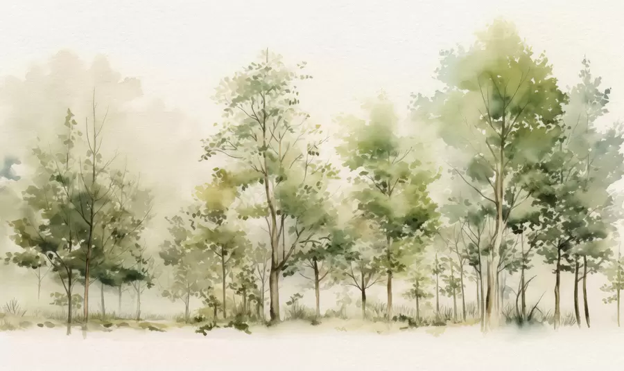 Fototapeedid Akvarell lehtpuumets w05180