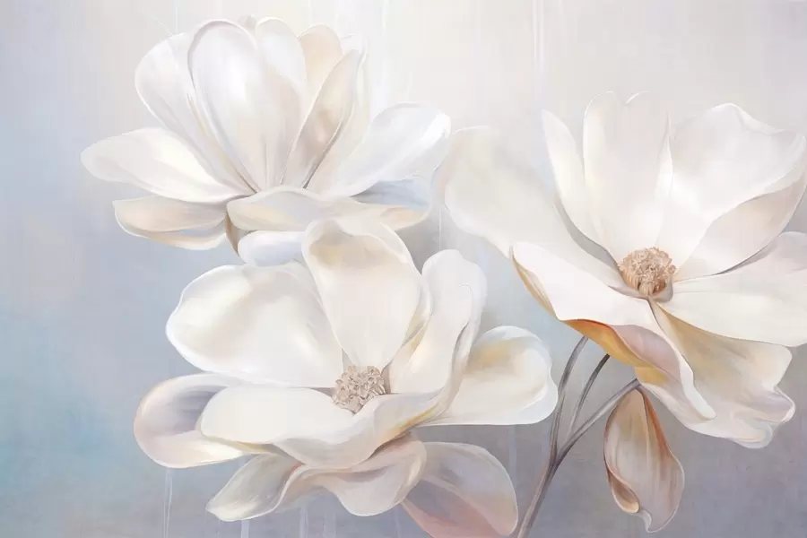 Fototapeedid Valged fantaasiamagnolia õied õrnade tekstuuriga kroonlehtedega, pehme, abstraktne taust w09373