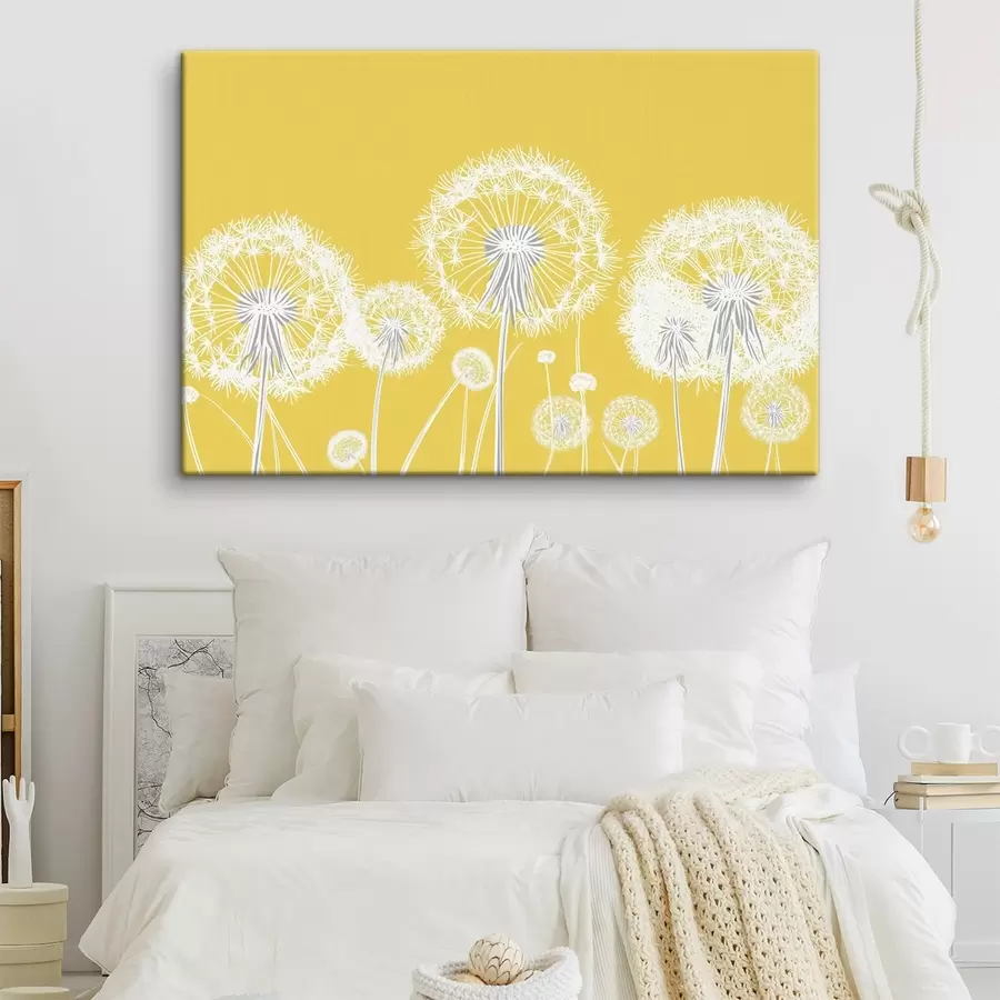 Pilt Valged võililled kollasel taustal s47890