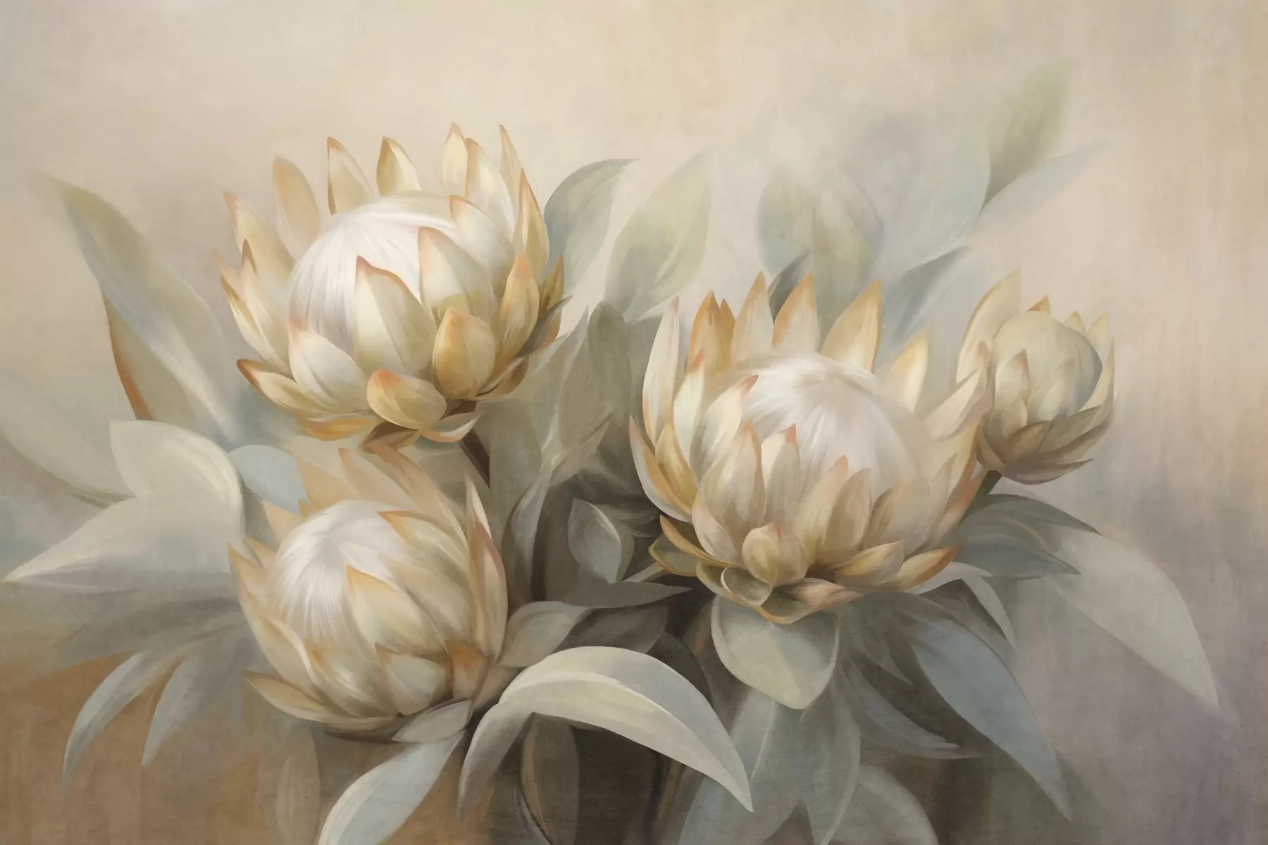 Fototapeedid Tekstuuriga protea lilled roheliste lehtede ja pehme, ähmase taustaga w09738