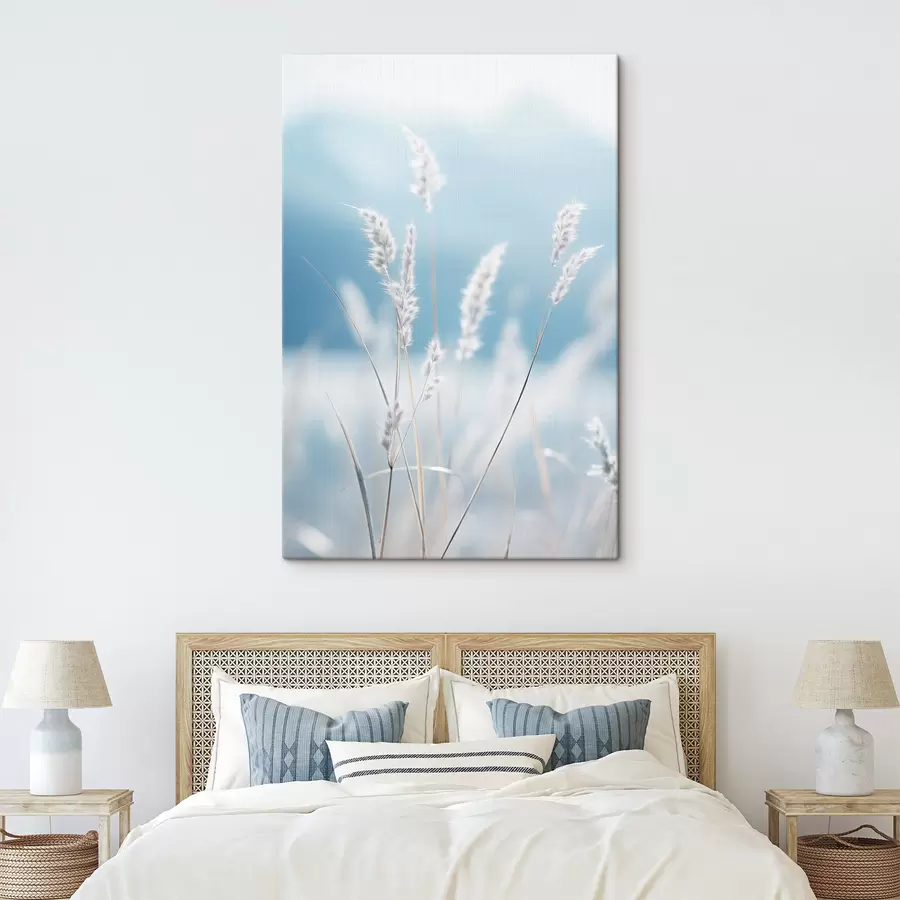 Pilt Valge kohev muru pehme sinise taeva taustal, madala teravussügavusega s47880