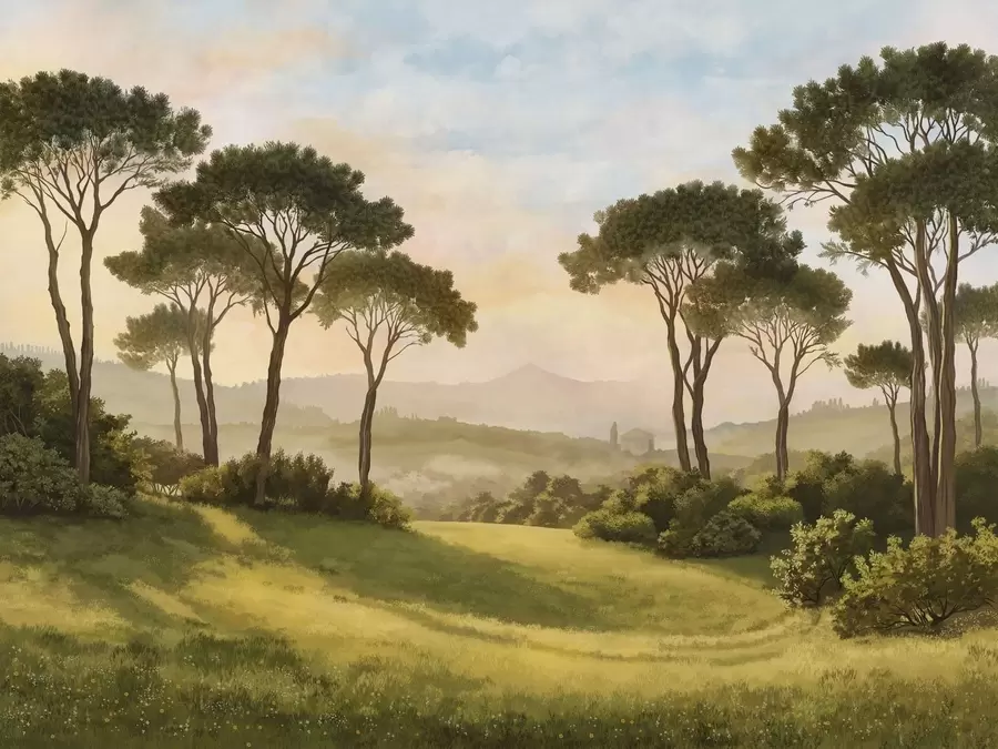 Fototapeedid Maastik puudega soojas päikeseloojangus w05122