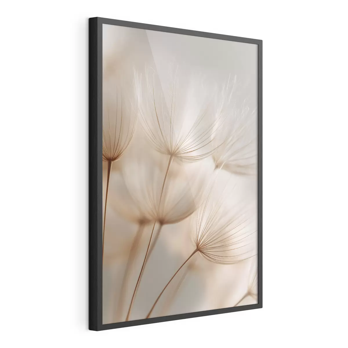 Plakat Õhupõõs f49429