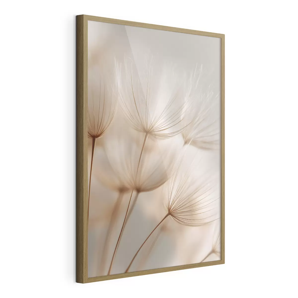 Plakat Õhupõõs f49429