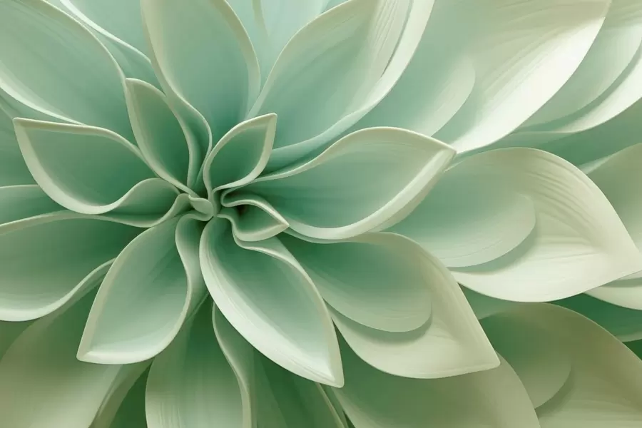 Fototapeedid Botaaniline geomeetria w05559
