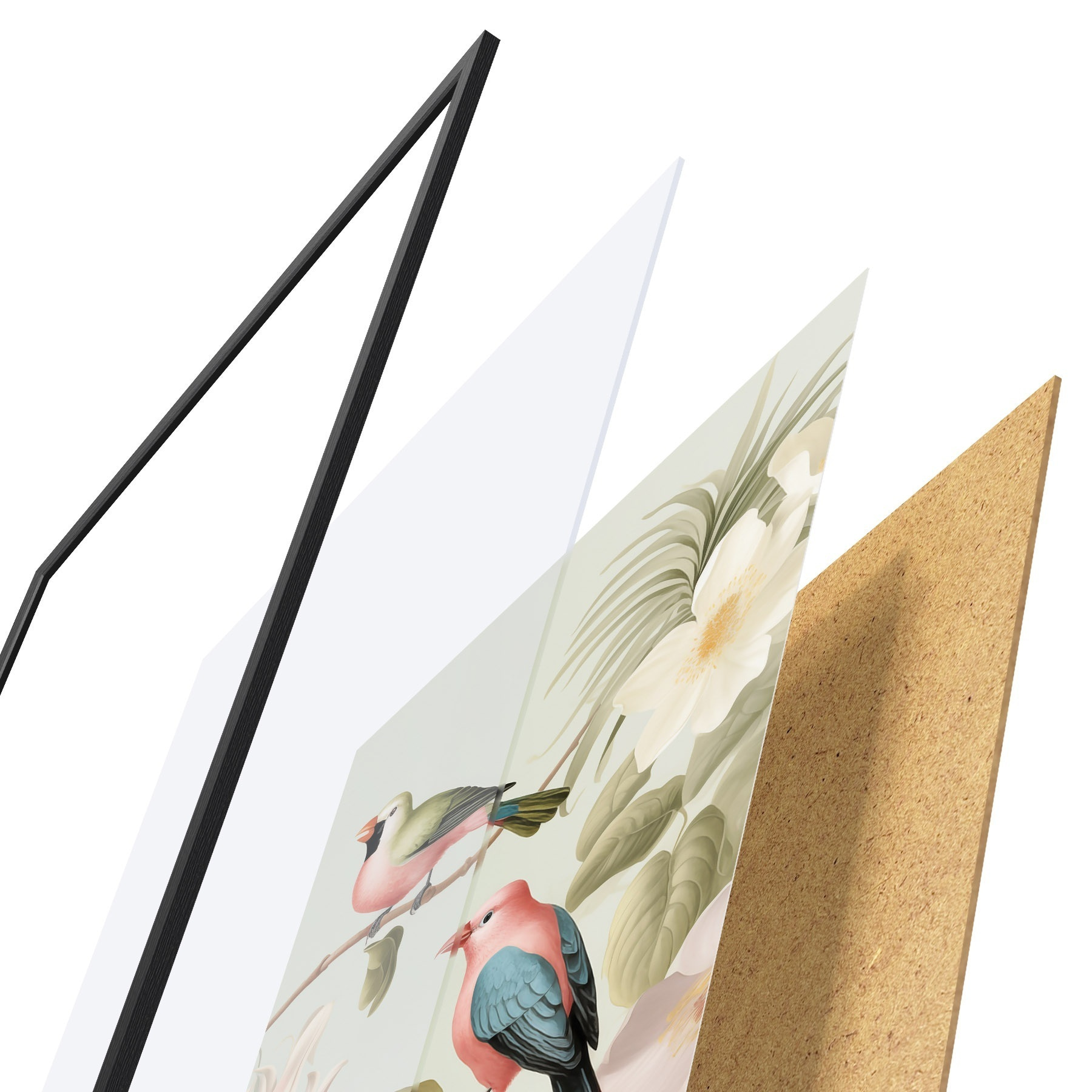 Plakat Kolibri õitsvas aias f49733