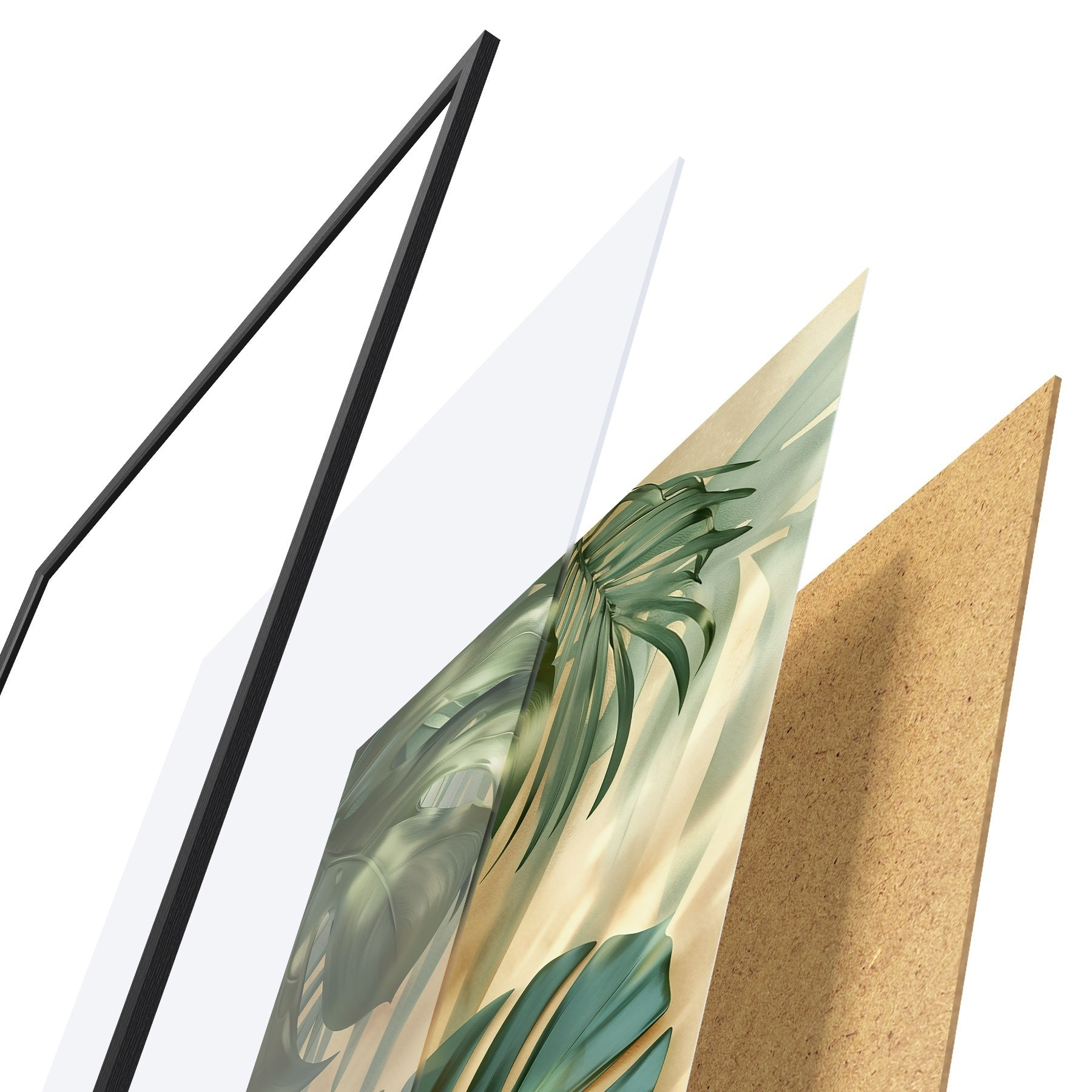 Plakat Monstera ja troopilised lehed f49552