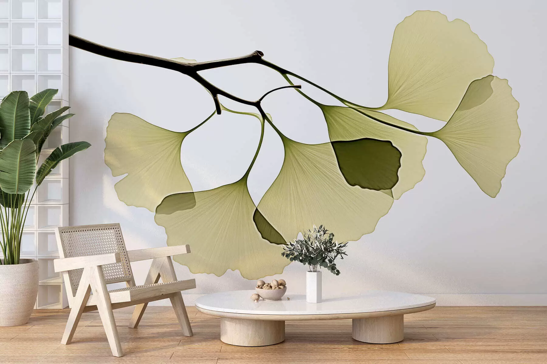 Fototapeedid Ginkgo lehviklehed w09968
