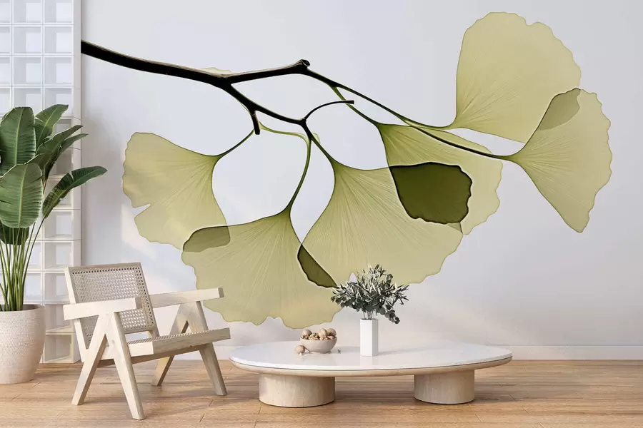 Fototapeedid Ginkgo lehviklehed w09968