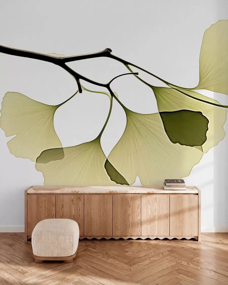 Fototapeedid Ginkgo lehviklehed w09968